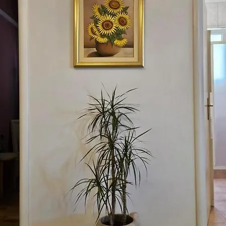 Seaside House Prigradica, Korcula - 24893 Holiday home Blato (Korcula)